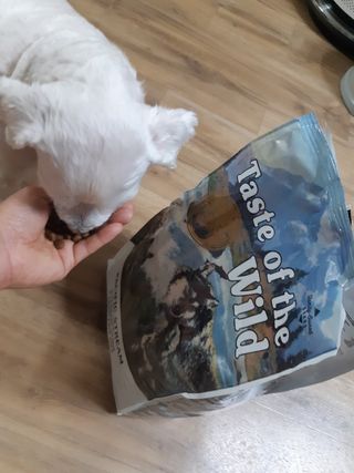 진진이님이 올린 리뷰 사진 2