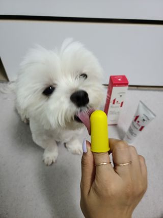 자기전님이 올린 리뷰 사진 2