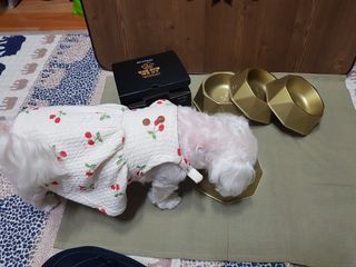 두부님이 올린 리뷰 사진 3