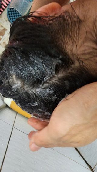 연꽃님이 올린 리뷰 사진 4