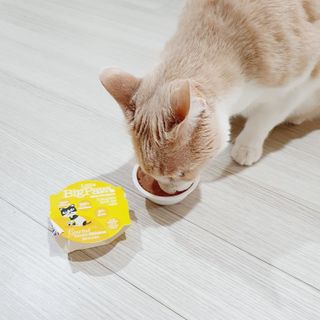 JENNY님이 올린 리뷰 사진 1