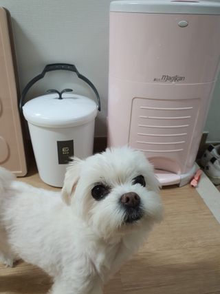뽀오오옹님이 올린 리뷰 사진 1