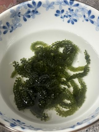 [피터씨마켓] 바다포도 100g(20g x 5봉) 우미부도 그린캐비어 ASMR 소분포장 — 5점을 준 리뷰어가 2024년 8월 올린 사용 사진