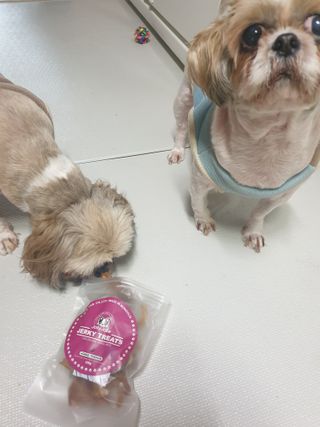 보리엄마님이 올린 리뷰 사진 2