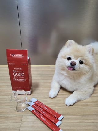 메타아르기닌 GC녹십자웰빙 메타 아르기닌 6000 플러스 오르니틴 — 4.5점을 준 리뷰어가 2022년 9월 올린 사용 사진