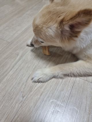 캥거루님이 올린 리뷰 사진 3