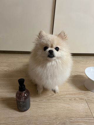 송유미님이 올린 리뷰 사진 1