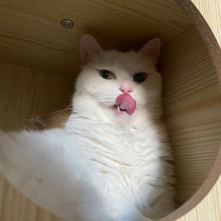 ㄹ진님이 올린 리뷰 사진 3