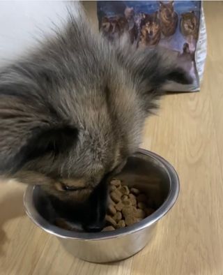 hing20님이 올린 리뷰 사진 2