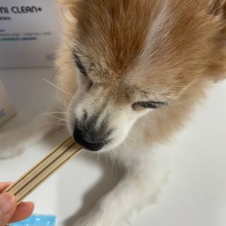 빵이님이 올린 리뷰 사진 1