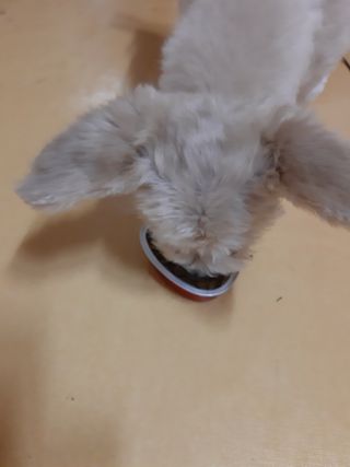 moomoon님이 올린 리뷰 사진 4