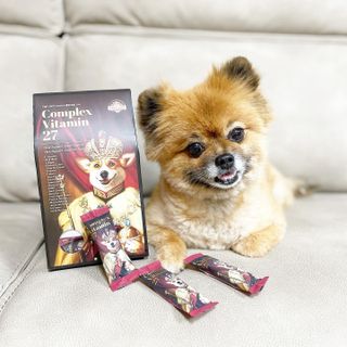 꿀냥이님이 올린 리뷰 사진 2