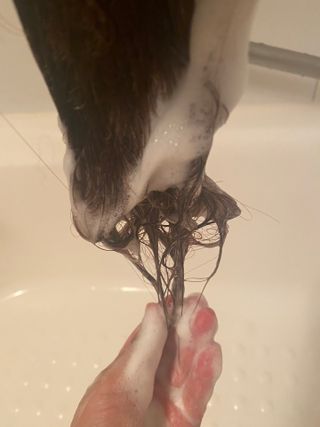 또용님이 올린 리뷰 사진 1