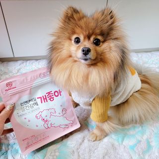 My Pet Care 천연단백질 관절건강에 개좋아 — 5점을 준 리뷰어가 2021년 1월 올린 사용 사진