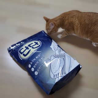 Dal0529님이 올린 리뷰 사진 3