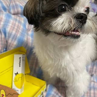 제리님이 올린 리뷰 사진 2