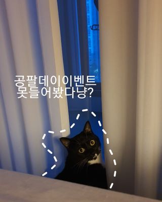 쩡이님이 올린 리뷰 사진 2