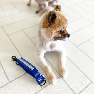 꿀냥이님이 올린 리뷰 사진 3