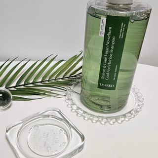 닥터시드 티트리 앤 라임 비건 지성케어 쿨 탈모 샴푸 (1000ml) — 5점을 준 리뷰어가 2023년 12월 올린 사용 사진