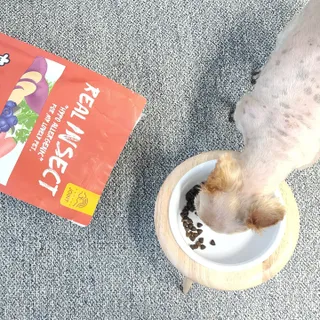 [푸디웜] 라포그  리얼인섹트 관절 저알러지 강아지 사료  1.2KG — 5점을 준 리뷰어가 2022년 8월 올린 사용 사진