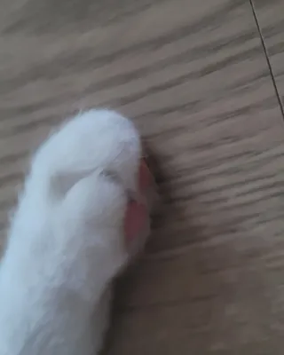 대박이님이 올린 리뷰 사진 4