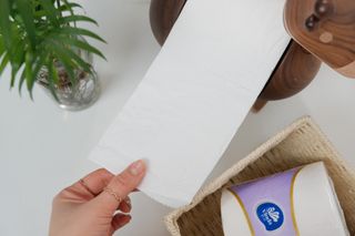 빈다 4Deluxe 4겹 엠보싱 롤 화장지 — 5점을 준 리뷰어가 2022년 3월 올린 사용 사진