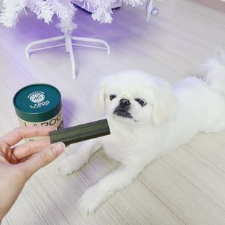 [푸디웜] 라포그 코어덴탈츄 그린 (10개입) — 5점을 준 리뷰어가 2022년 12월 올린 사용 사진