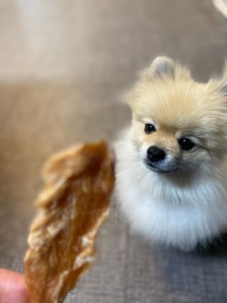 화이집사님이 올린 리뷰 사진 2