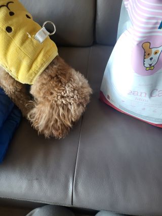 kay님이 올린 리뷰 사진 3