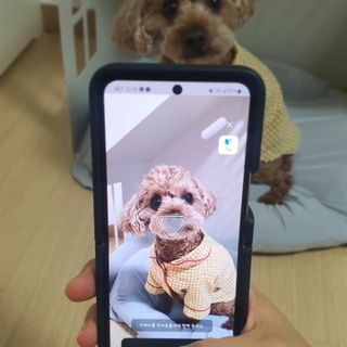 사랑해안시영님이 올린 리뷰 사진 1