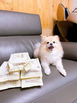 철부지개엄마님이 올린 리뷰 사진 1