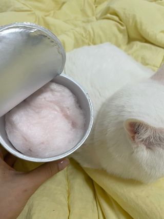 하루방울집사님이 올린 리뷰 사진 2