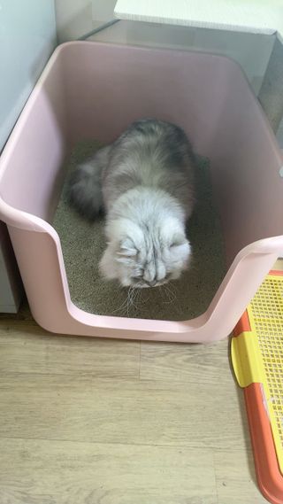 럽S하3님이 올린 리뷰 사진 3