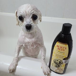 쮸디님이 올린 리뷰 사진 1