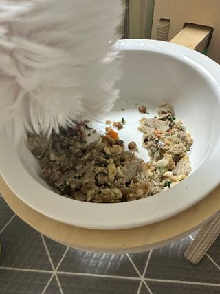 당근님이 올린 리뷰 사진 4