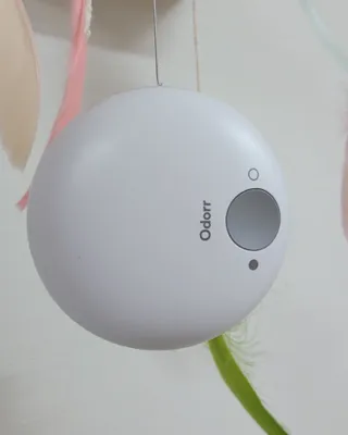 대박이님이 올린 리뷰 사진 1