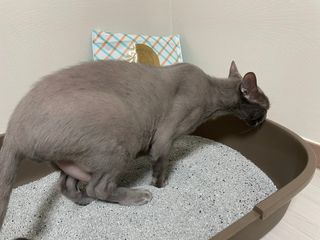 초이님이 올린 리뷰 사진 3