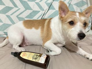 뚜블리님이 올린 리뷰 사진 1