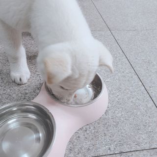 다둥맘님이 올린 리뷰 사진 4