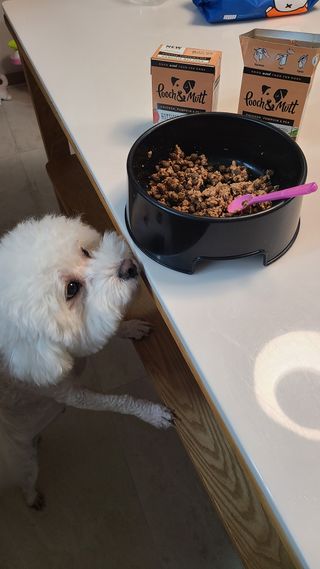 Claire님이 올린 리뷰 사진 3