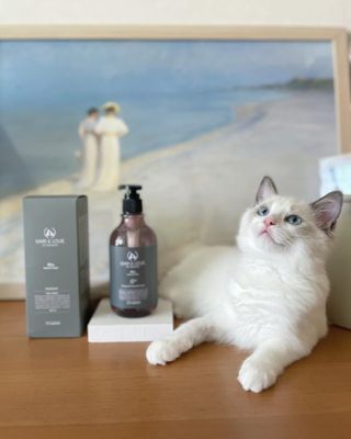 마리앤루이펫샴푸 [mari and louie pet shampoo] — 5점을 준 리뷰어가 2021년 6월 올린 사용 사진