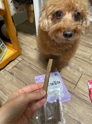 My Pet Care 천연단백질 치아건강에 개좋아 — 4점을 준 리뷰어가 2021년 2월 올린 사용 사진