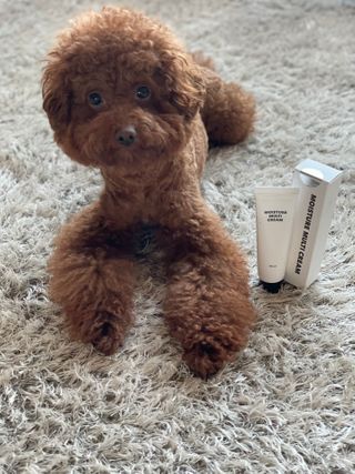 다요미님이 올린 리뷰 사진 1