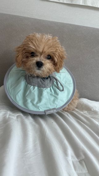 스피님이 올린 리뷰 사진 1
