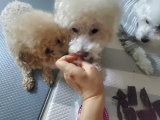모모맘님이 올린 리뷰 사진 1