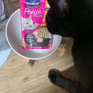 비타크래프트 포에시 델리스 고양이 파우치 85g 9가지맛 1팩씩 — 5점을 준 리뷰어가 2021년 8월 올린 사용 사진