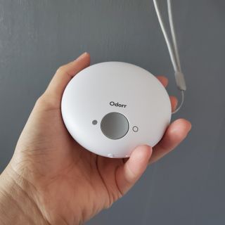 jiny님이 올린 리뷰 사진 3