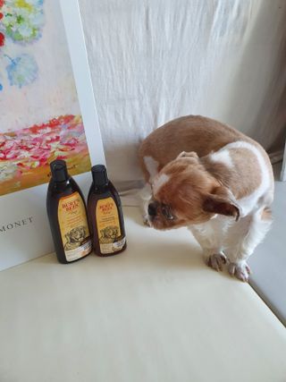 기룡이님이 올린 리뷰 사진 1