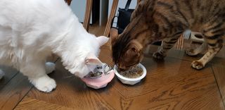 이설희님이 올린 리뷰 사진 3