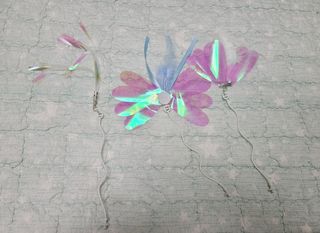 채원님이 올린 리뷰 사진 2